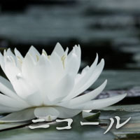 ニコール：麻妃美