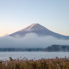 愛叶：青山