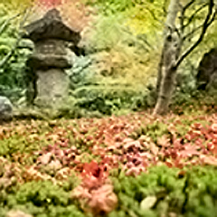 尼子:玖野弧