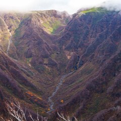 天つ神：知念凛空