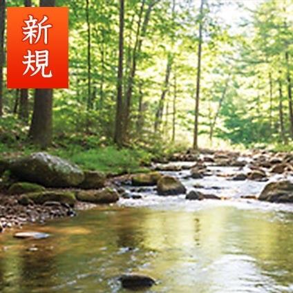 天つ神：津々音