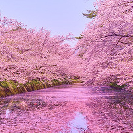 天つ神：天河花