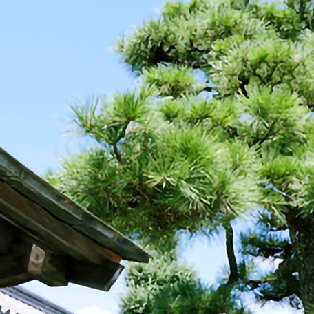 青森イタコ連盟:円明