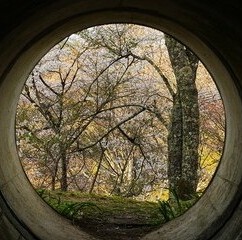 青森イタコ連盟：神住