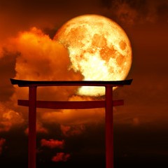 弦：時乃