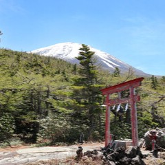 宜保鑑定事務所：冨須美野