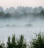 宜保鑑定事務所：天霧