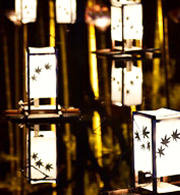 宜保鑑定事務所：月灯澪乃