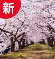 宜保鑑定事務所：千桜
