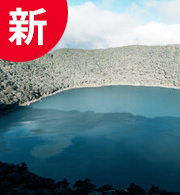 宜保鑑定事務所:想真