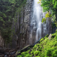 花紫：谷牧