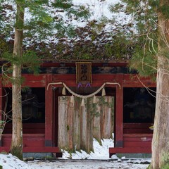 法蓮：美冬