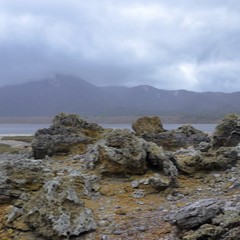法蓮：加美野