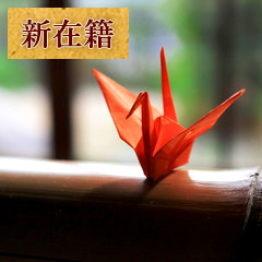 慈念:文江