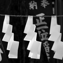 花染：清羽