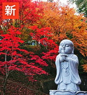 花染:天王寺