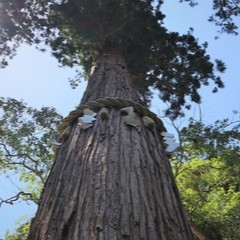 木村霊能研究所：叙空