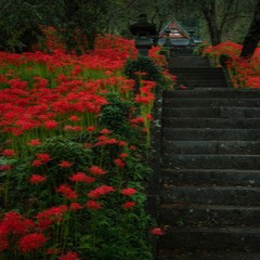 木村霊能研究所：華上恭子