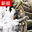 木村霊能研究所：如月陽葵