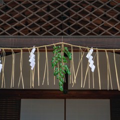 心神：智緒