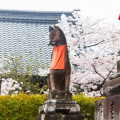 もえさが：浦中