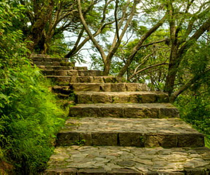 もえさが：奏縁美撫