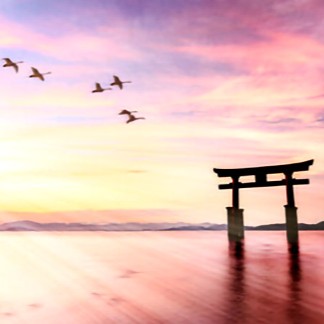 もえさが:久津美羽