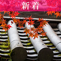 陸奥：倉持