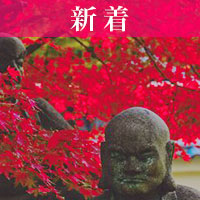 陸奥：大山