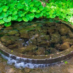 王寺院：泰里