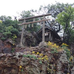 王寺院：富士源