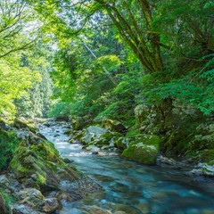 オシラ様：天津川