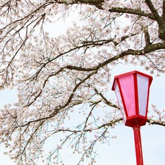 ピュアハート：美甘