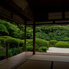 霊雲：莉音