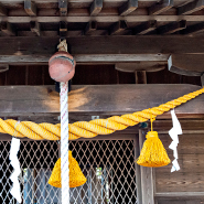 凛音：龍造寺