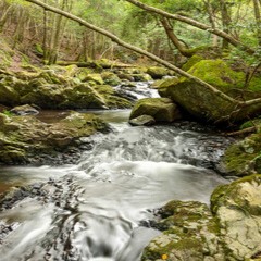 凛音：榎村