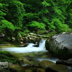 凛音：伊勢川