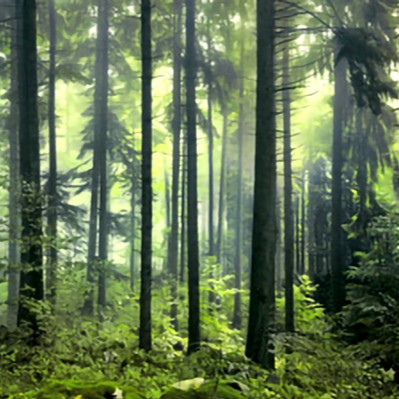 セドナ：メゾライン