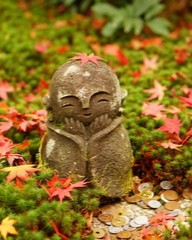 紫苑：姫宮茜