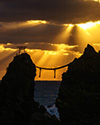 紫苑：夕凪