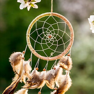 ＳＰＲ：ケーラ