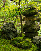 天啓：草野