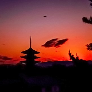 遥華：茜子