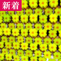 遥華：梨々乃