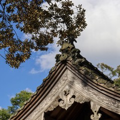 恵心：美羽乃