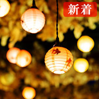 恵心：千夜月